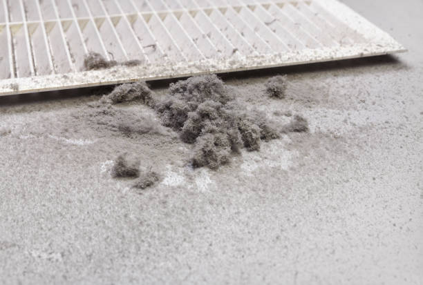 Best Air Vent Cleaning Services  in Trexlertown, PA
