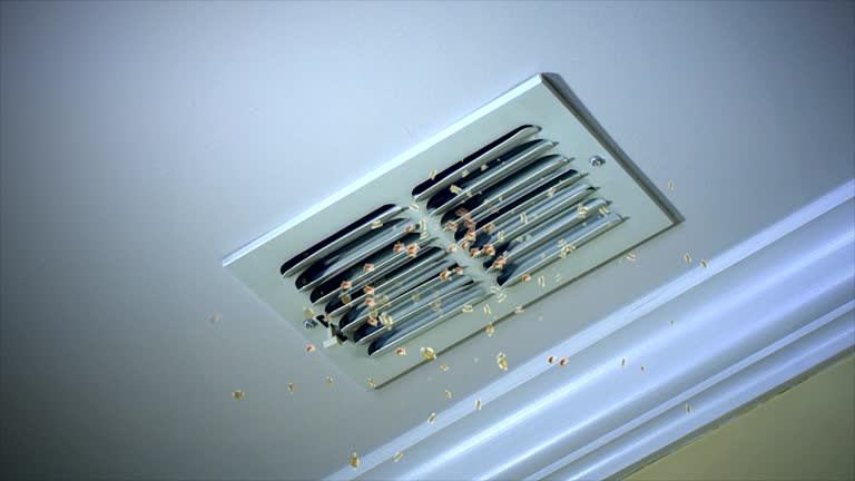Best Best Air Duct Cleaning Company  in Trexlertown, PA